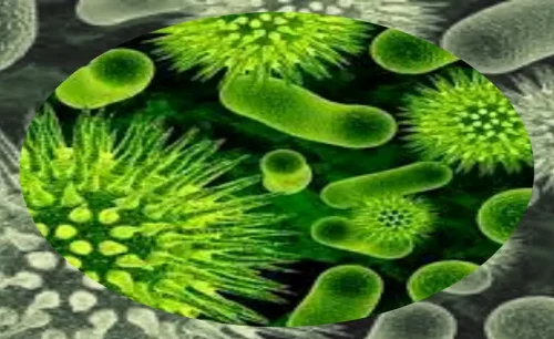 history-of-ancient-bacteria